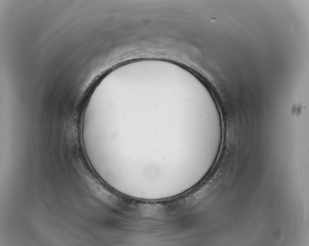 X0000090471498200707201344