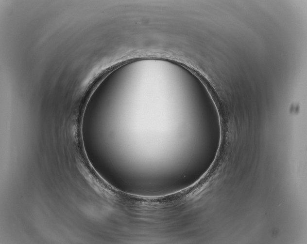 X0000090471499200707201344