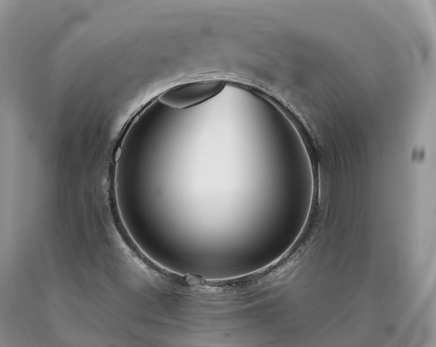 X0000090471500200707201344
