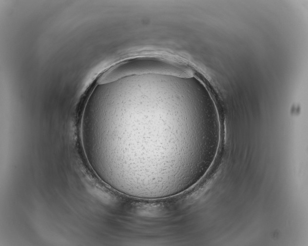 X0000090471501200707201344
