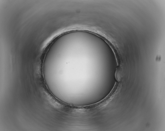 X0000090471502200707201344