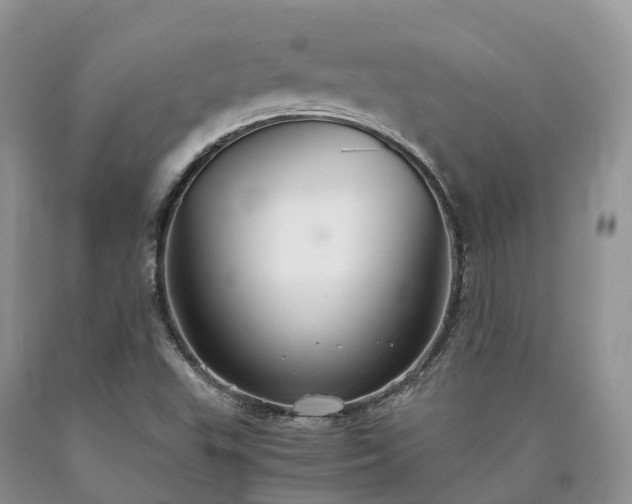 X0000090471503200707201344