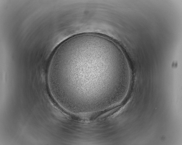 X0000090471505200707201344