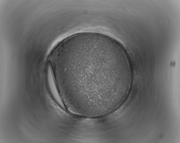 X0000090471506200707201344
