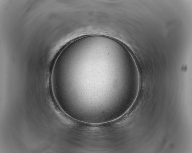 X0000090471507200707201344
