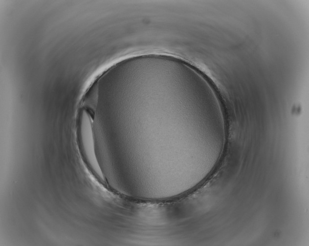 X0000090471508200707201344