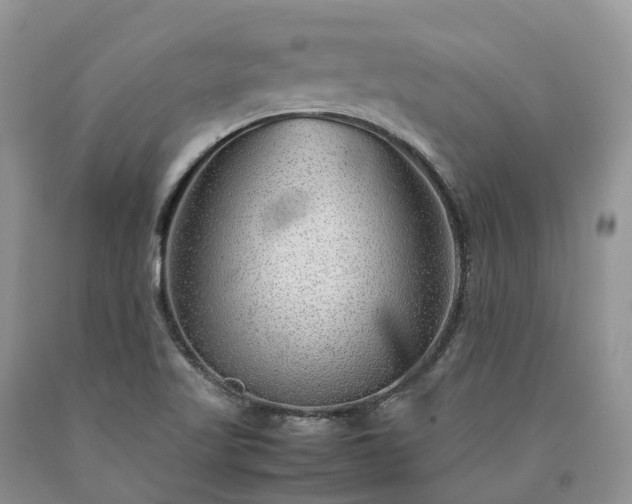 X0000090471509200707201344