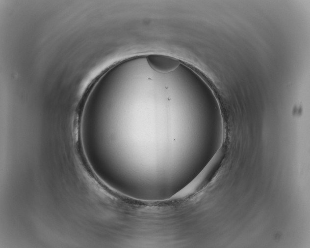 X0000090471510200707201344