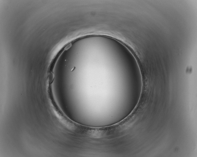 X0000090471511200707201344
