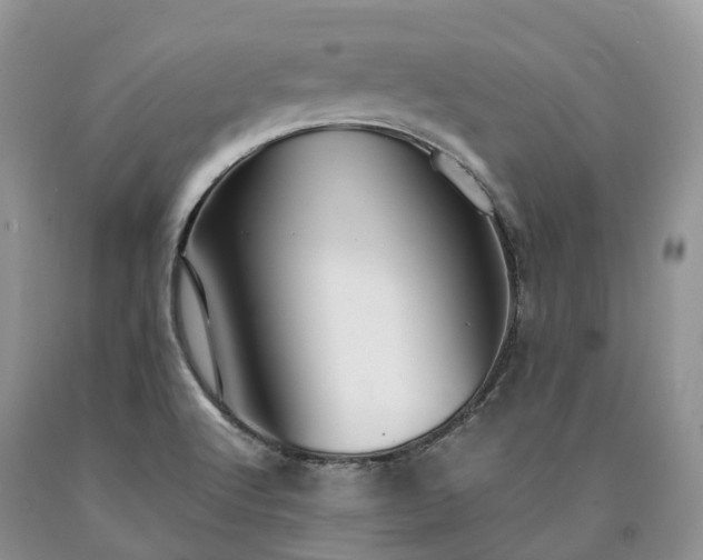 X0000090471512200707201344