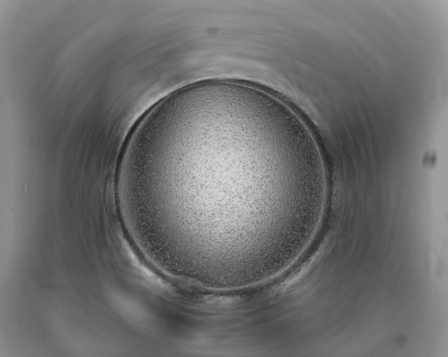 X0000090471513200707201344