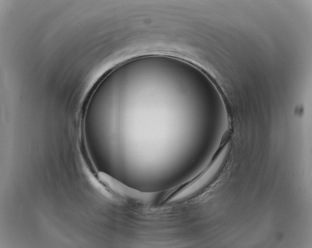 X0000090471515200707201344