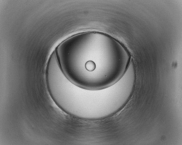 X0000090471516200707201344