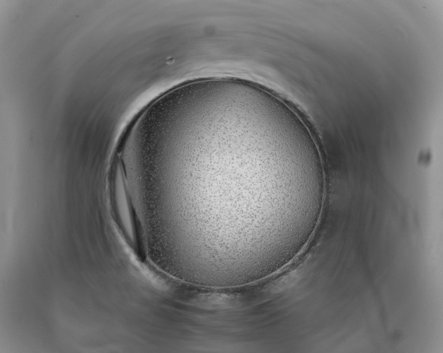 X0000090471517200707201344