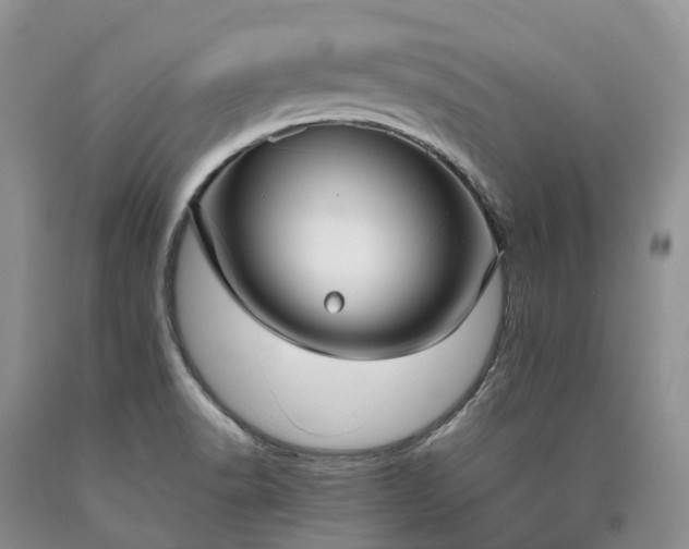 X0000090471518200707201344