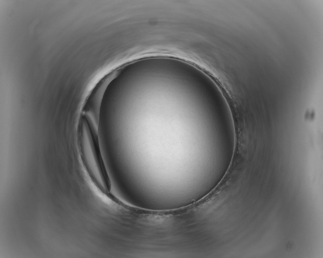 X0000090471519200707201344