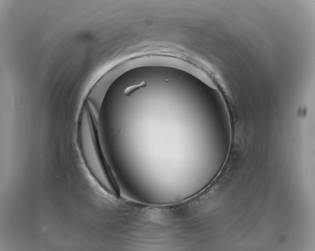 X0000090471520200707201344