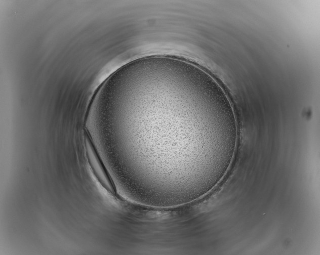 X0000090471521200707201344