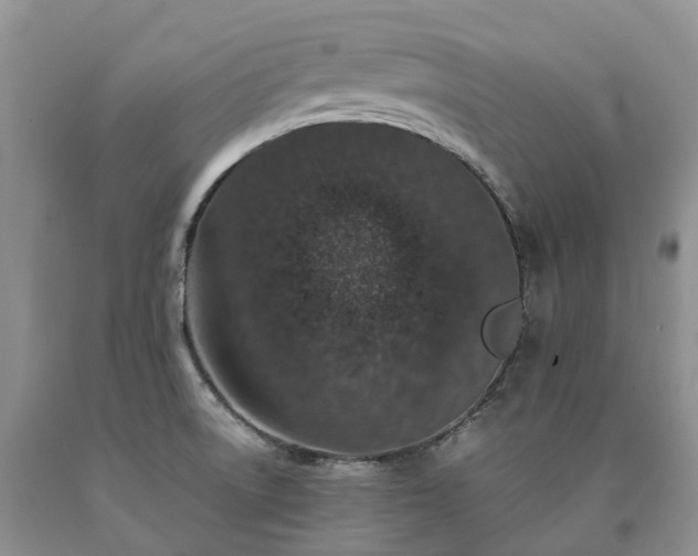 X0000090471522200707201344