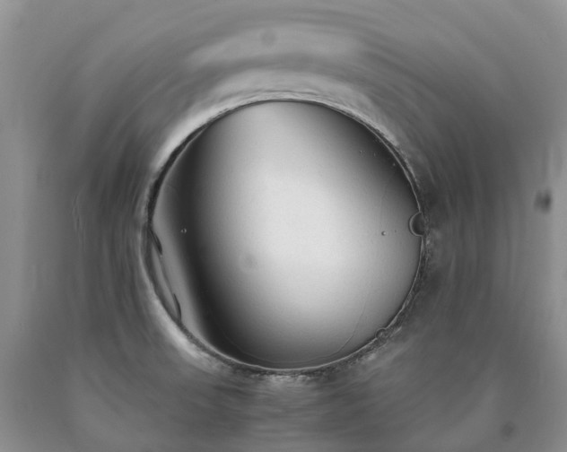 X0000090471523200707201344