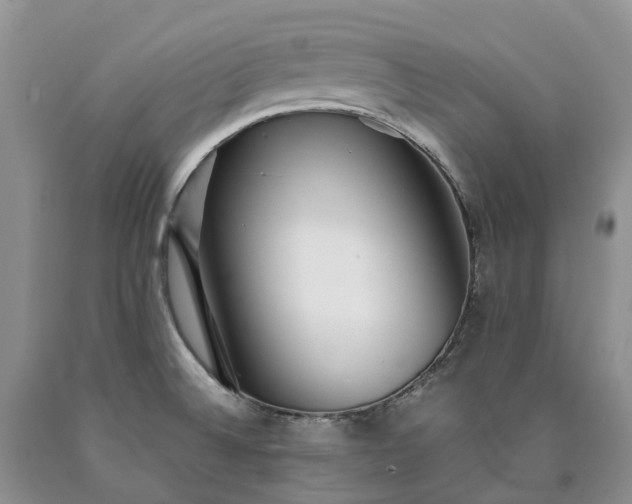 X0000090471524200707201344