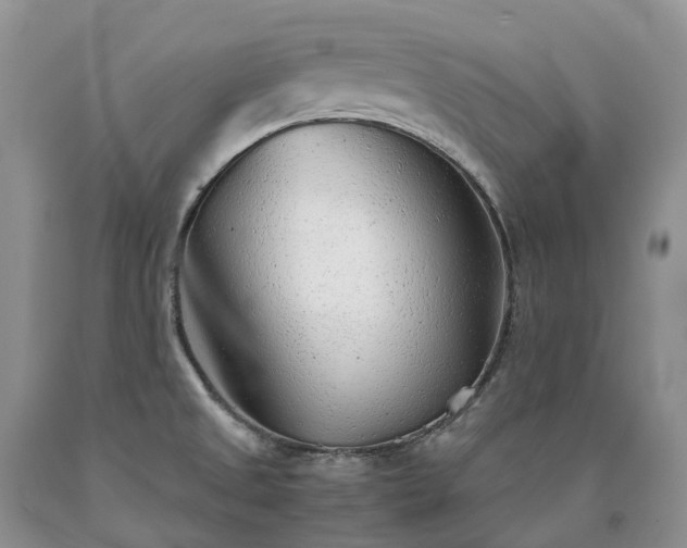 X0000090471525200707201344