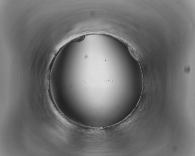 X0000090471526200707201344