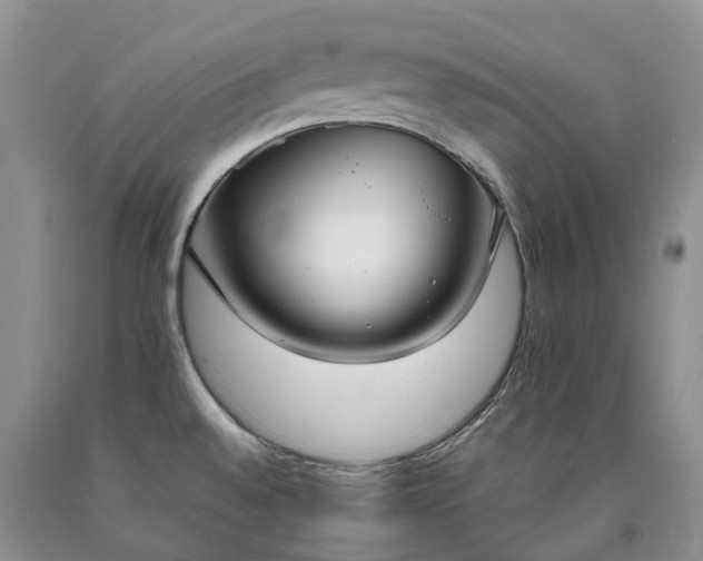 X0000090471528200707201344
