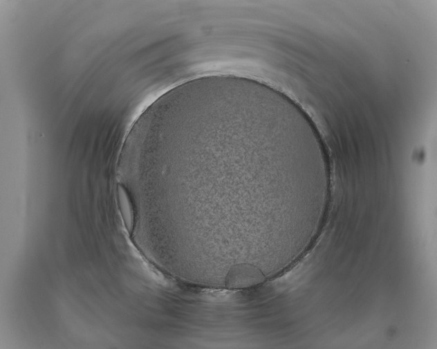 X0000090471529200707201344