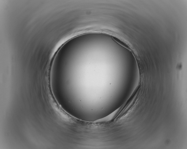 X0000090471530200707201344