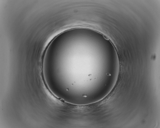X0000090471531200707201344