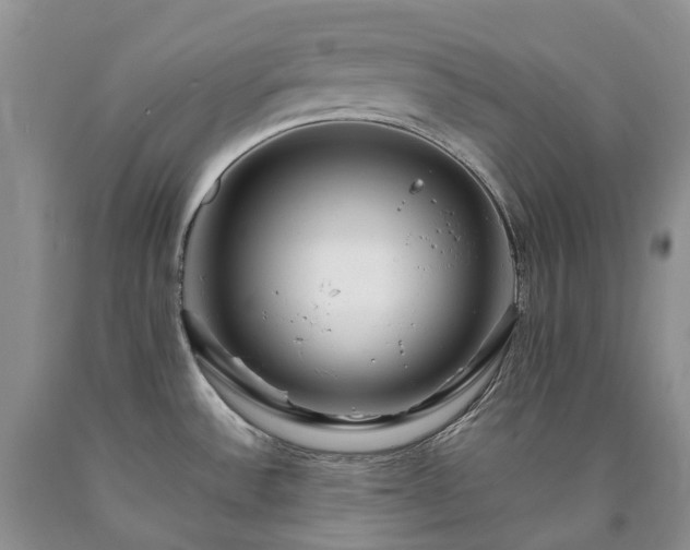 X0000090471532200707201344