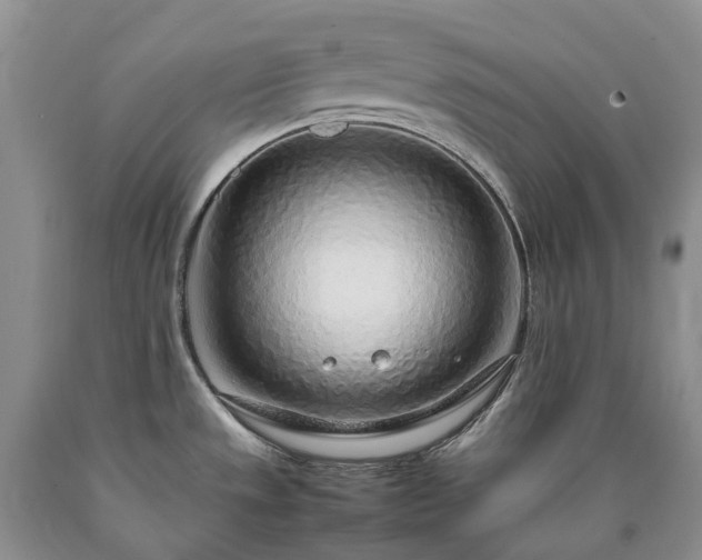 X0000090471533200707201344