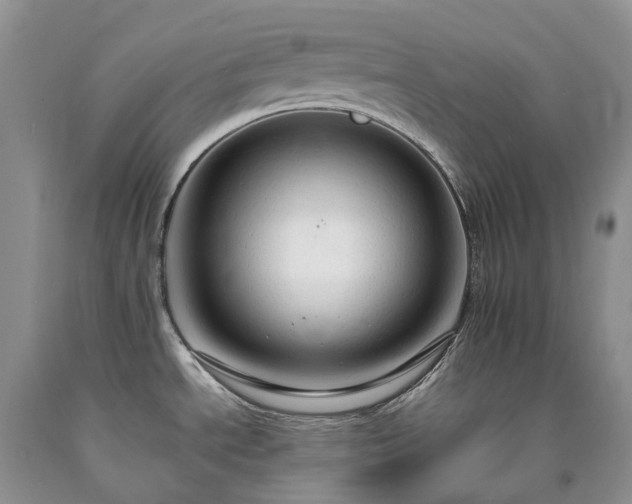 X0000090471534200707201344