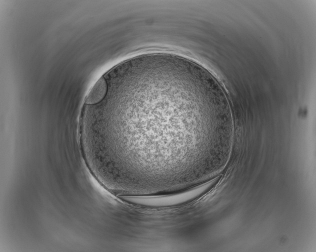 X0000090471535200707201344