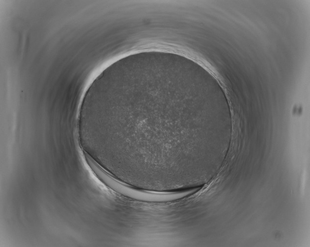 X0000090471536200707201344