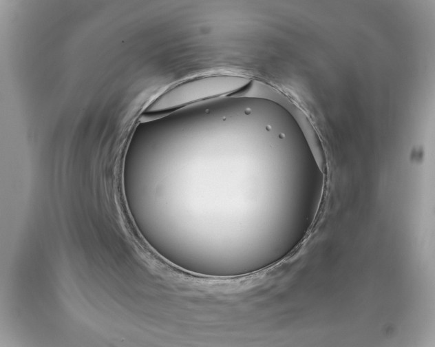 X0000090470001200707272308