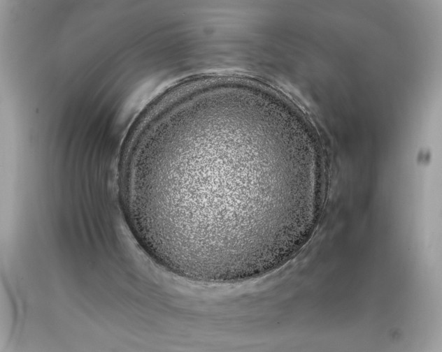 X0000090470002200707272308