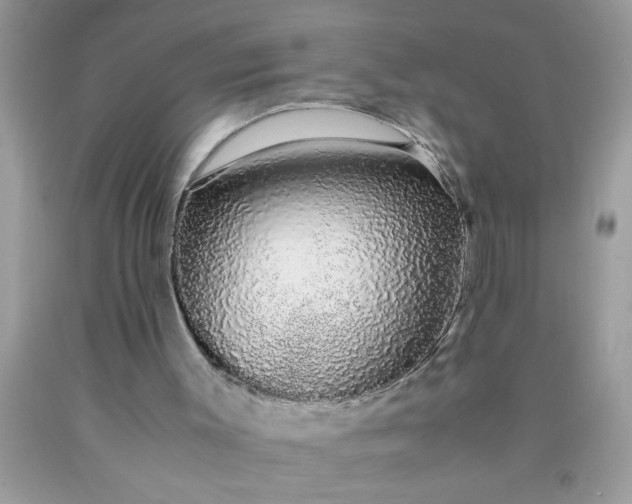 X0000090470003200707272308