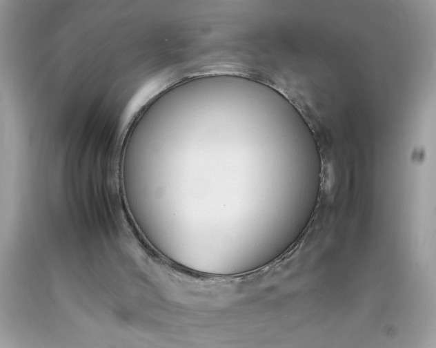 X0000090470004200707272308