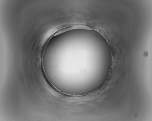 X0000090470005200707272308