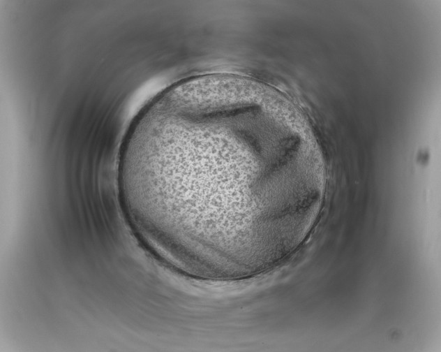 X0000090470006200707272308