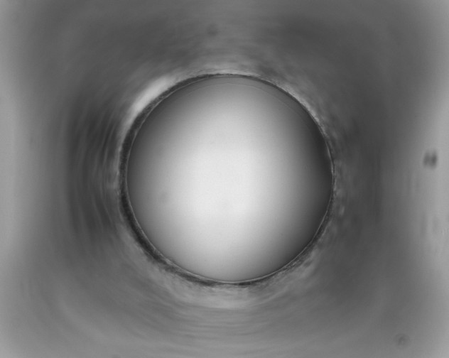 X0000090470008200707272308