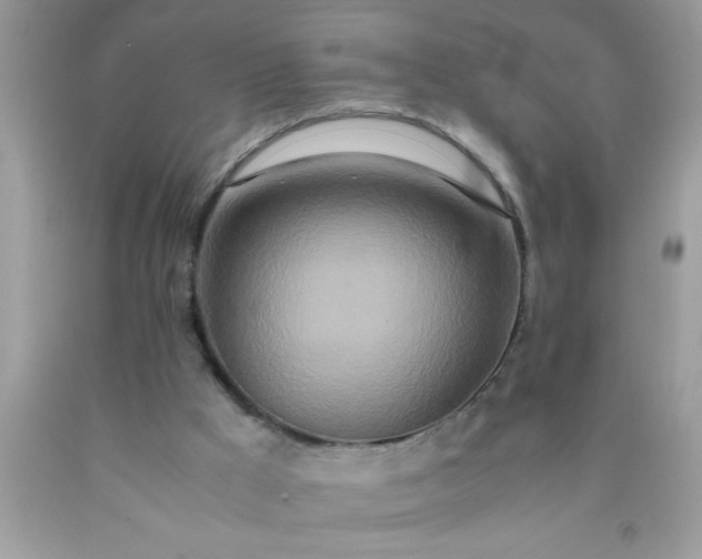 X0000090470009200707272308