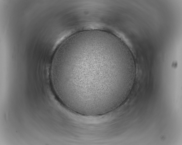 X0000090470010200707272308