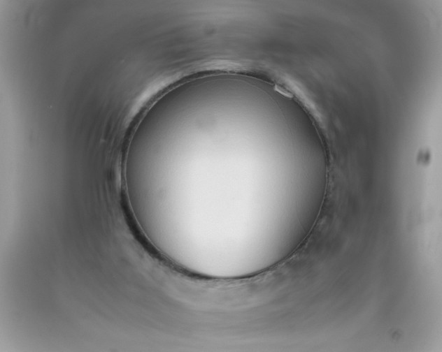 X0000090470011200707272308