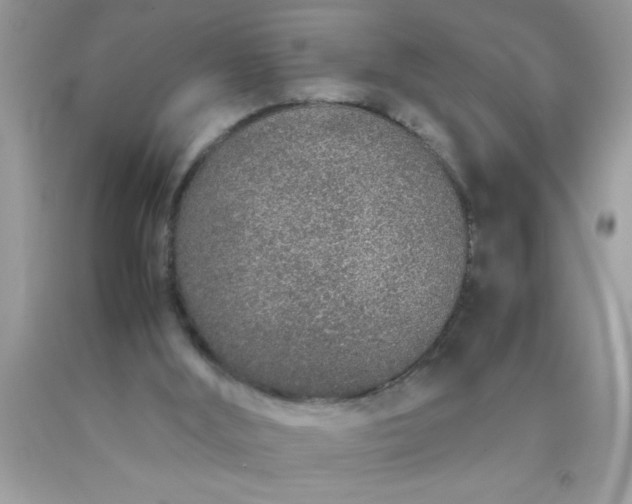 X0000090470012200707272308