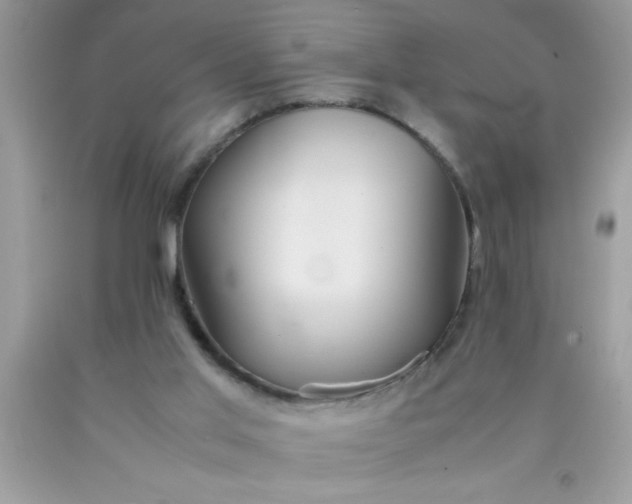 X0000090470013200707272308