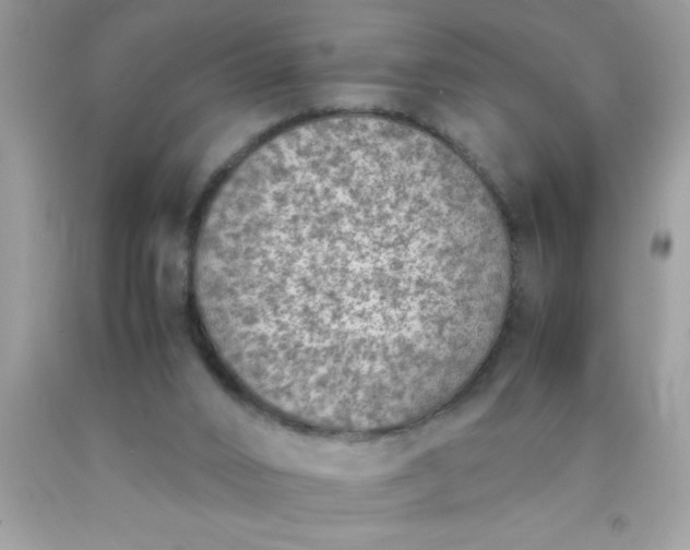 X0000090470016200707272308