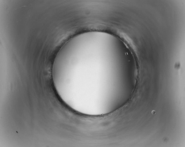 X0000090470017200707272308